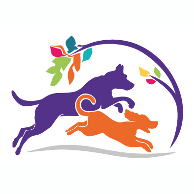 Katy Dog Boarding Website Icon